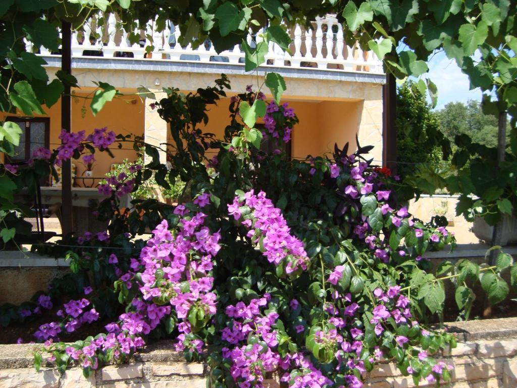 Apartments Alice Green Oasis - Poreč Chambre photo